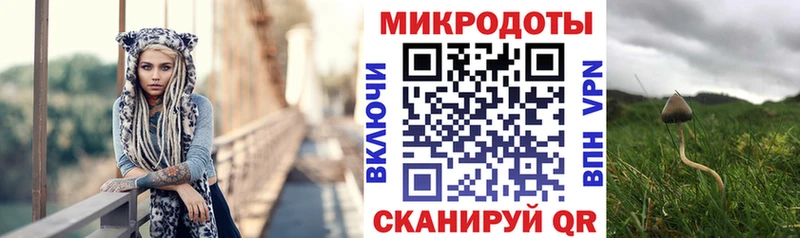 Галлюциногенные грибы мухоморы  продажа наркотиков  Феодосия 